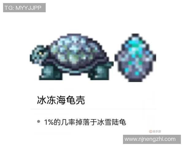 和平精英战场上的EDG团队协作策略与实战经验分享